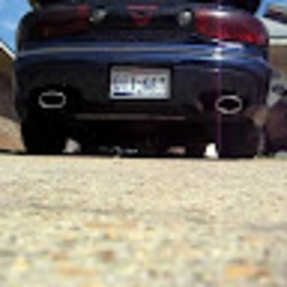 Meet your Posher, Blake - Picture 1 of 1